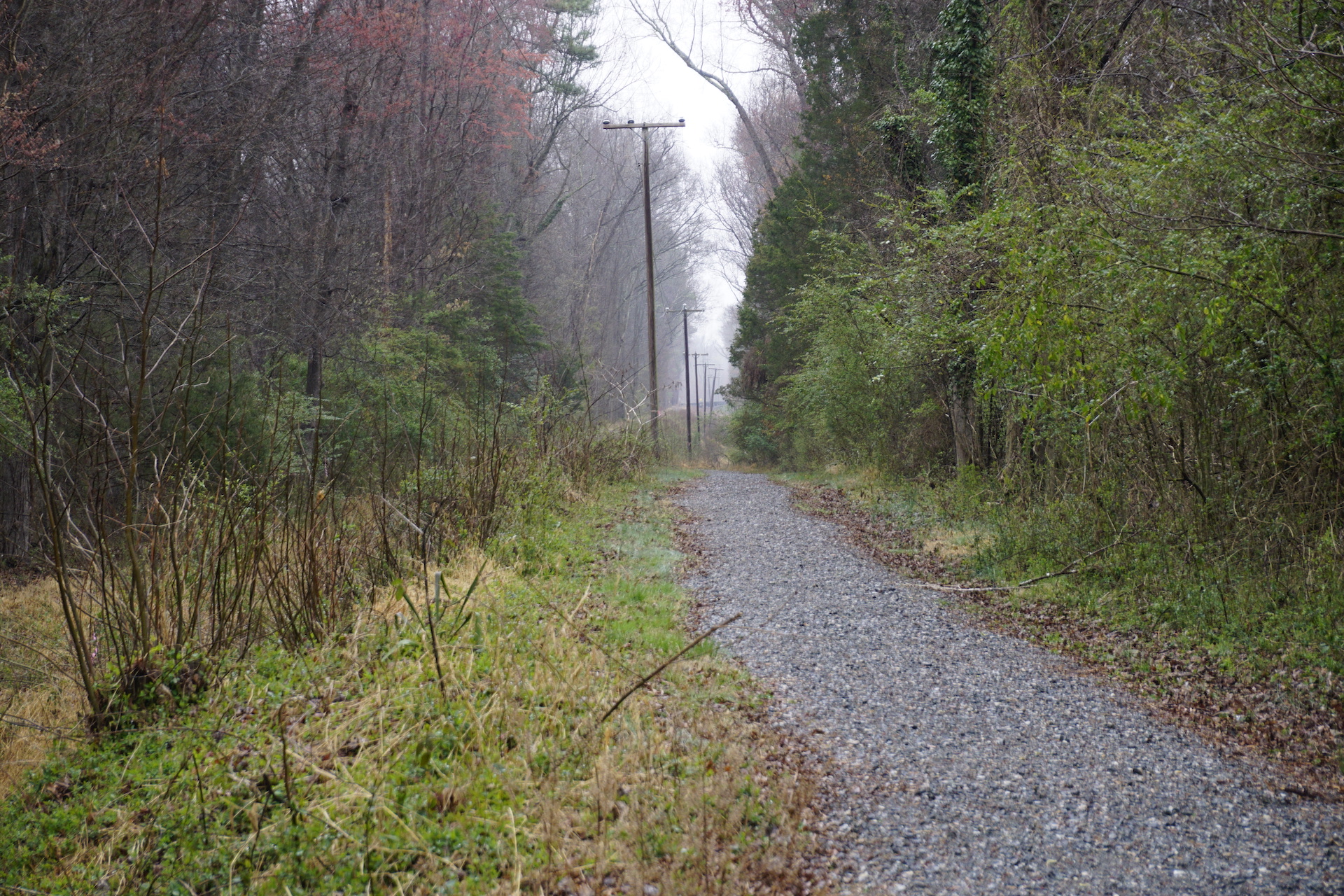 Existing trail